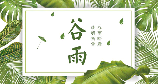 金盛木业 | 谷雨春季的最后一个节气