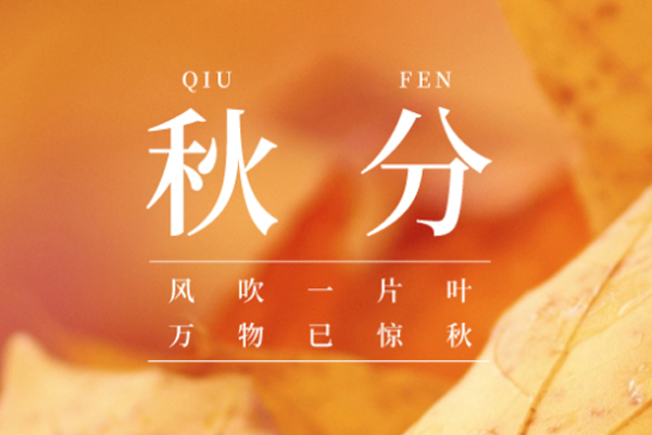 金盛木业 | 云淡风清扬,秋色可分长